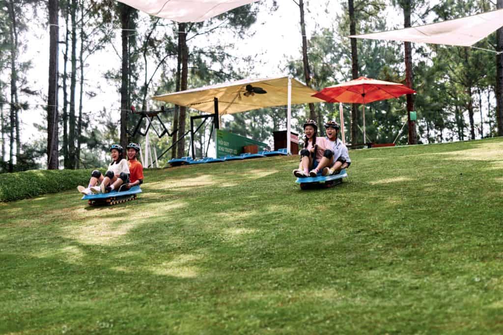 Giới thiệu