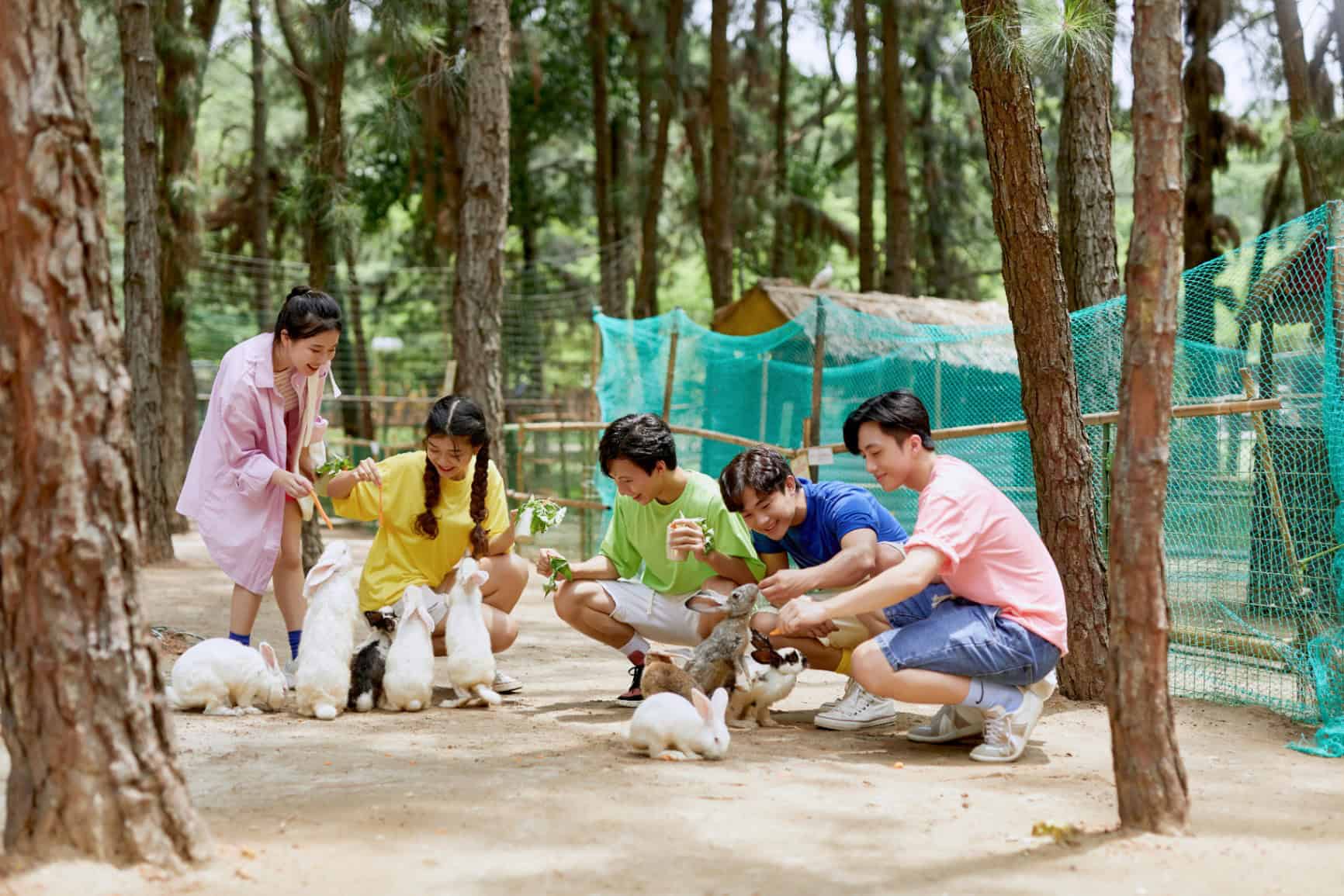 Hohoo Zoo