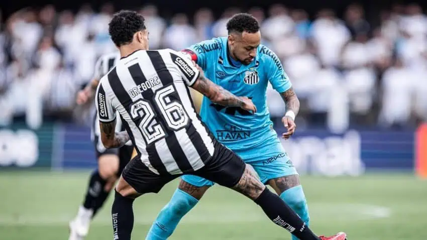 Santos vs Botafogo RJ Highlights