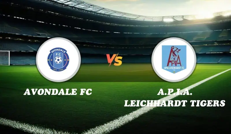 Avondale FC vs A.P.I.A. Leichhardt Tigers Highlights