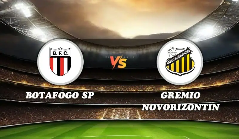 Botafogo SP vs Gremio Novorizontin Highlights