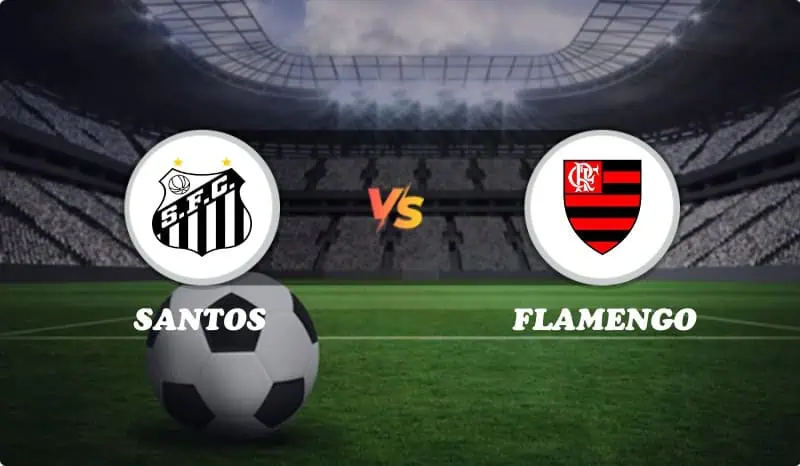 Santos vs Flamengo Highlights