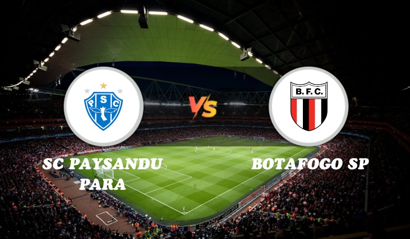 SC Paysandu Para vs Botafogo SP Highlights