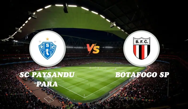 SC Paysandu Para vs Botafogo SP Highlights