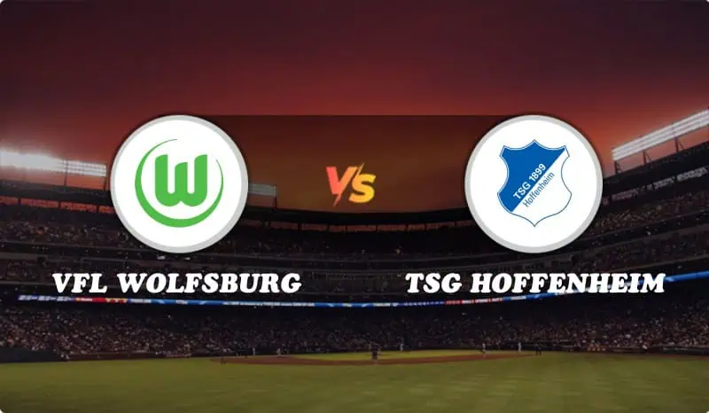 VfL Wolfsburg vs TSG Hoffenheim Highlights