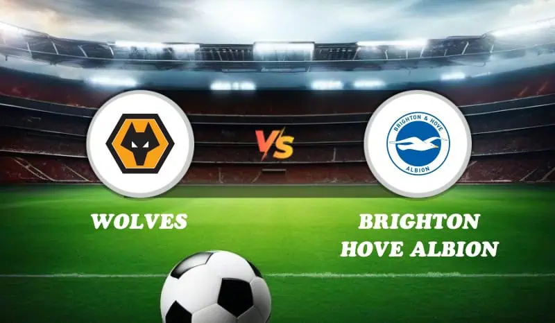 Wolves vs Brighton Hove Albion Highlights