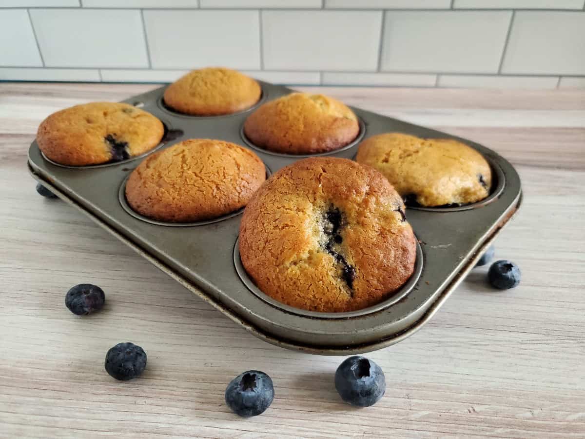 Tray of six blueberry muffins.