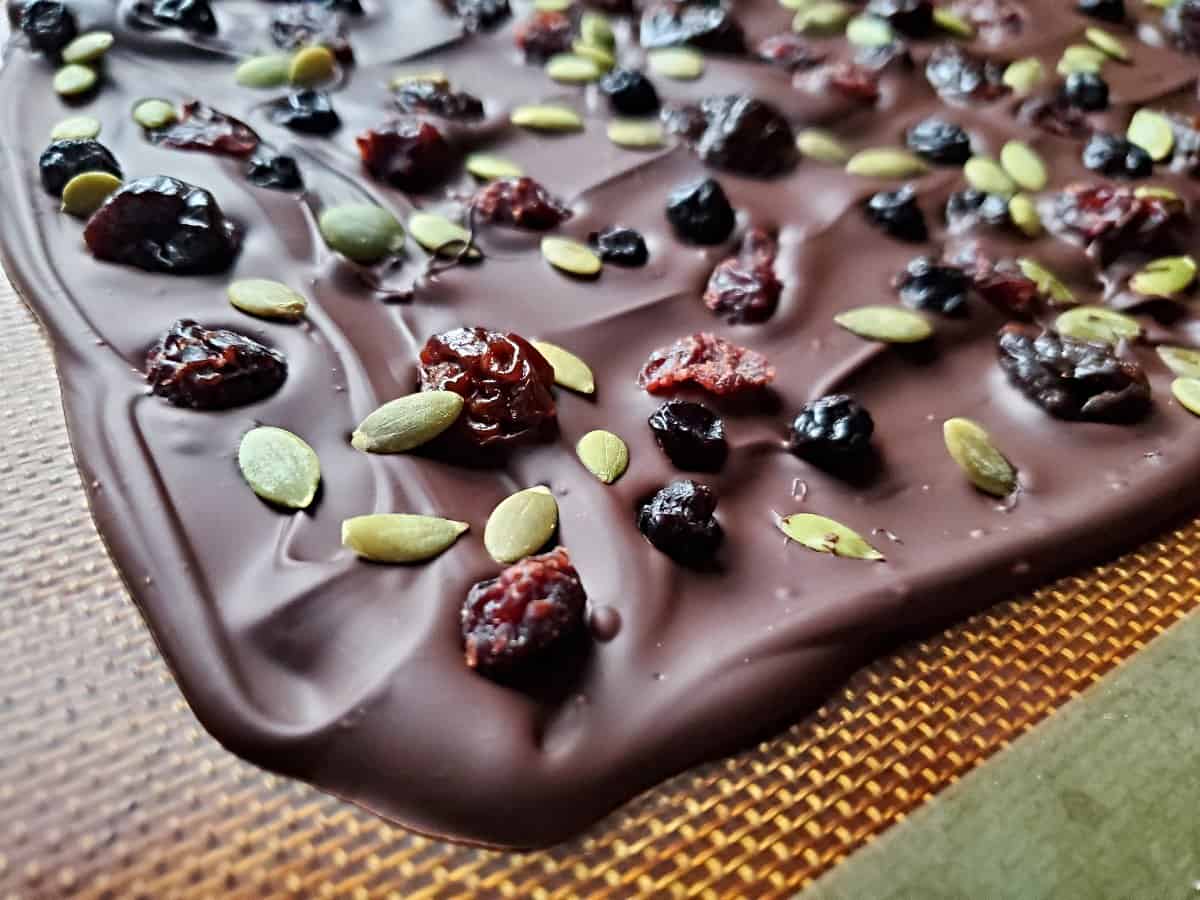 Hardened corner of dark chocolate bark with dried fruit and pepitas.