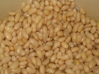 Closeup of canned cannelloni beans.