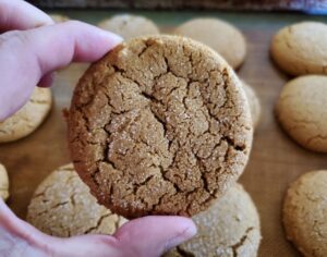 Image shows a hand Holding a chewy molasses cookie.