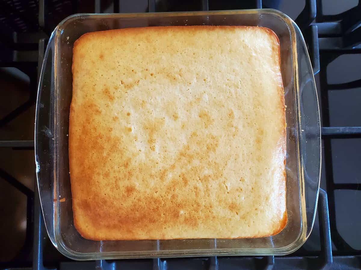 Overhead of just baked vanilla orange cheesecake bars.