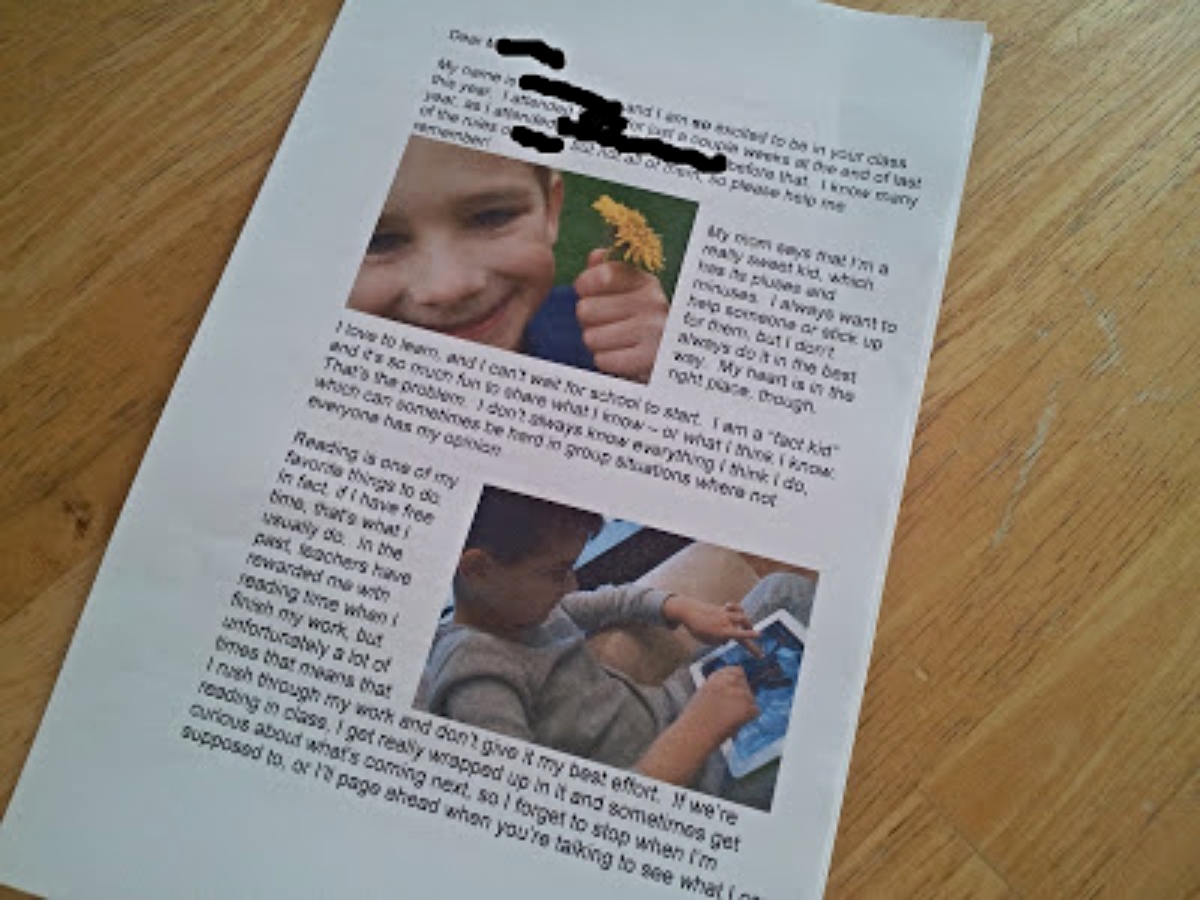 Special Needs Teacher Introduction Letter example