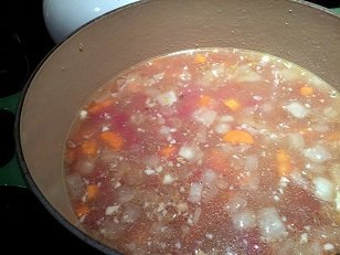 Red Lentil Stew just starting to cook