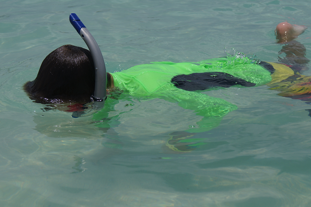 Mister Man snorkeling