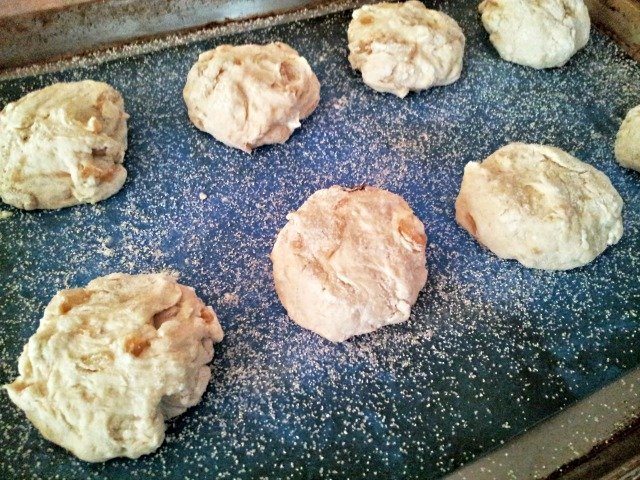 Rounds of goat cheese caramelized onion rolls ready to rise again