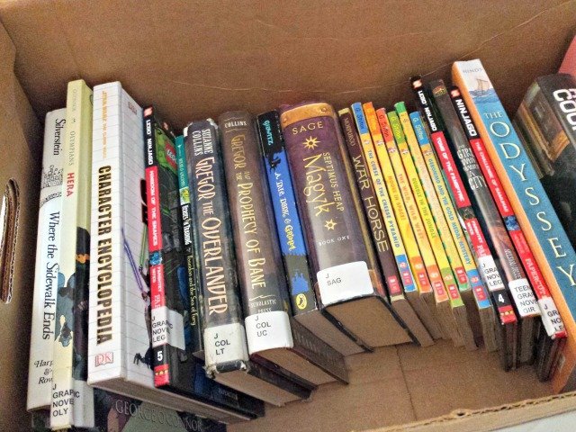 Bring a box of books on road trips to keep kids entertained