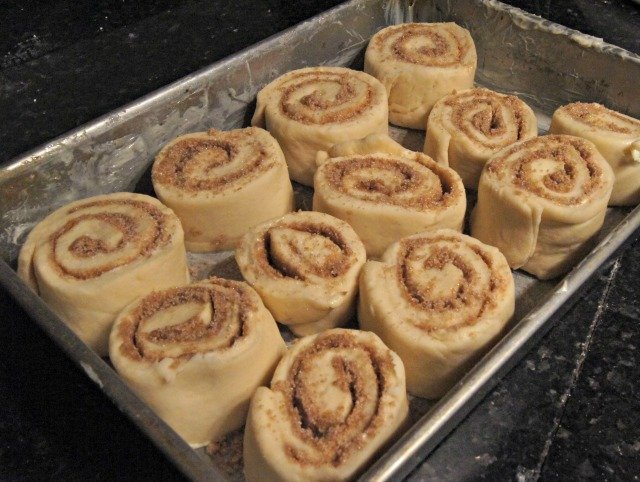 Cinnamon rolls ready to rise