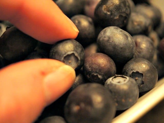 Yummy blueberries