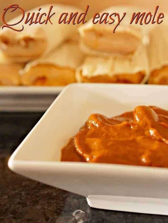 Quick and easy mole