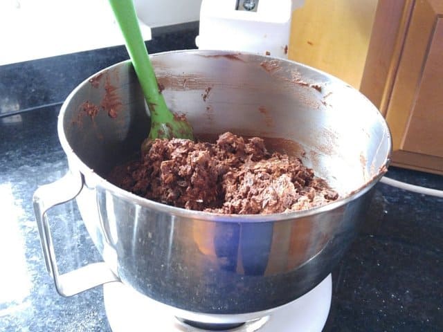 Chocolate covered raisin cookie dough