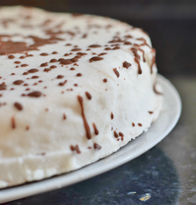 Dairy Free vegan gluten free frozen ice cream cake recipe