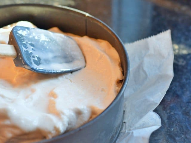 Smooth the ice cream in your springform pan