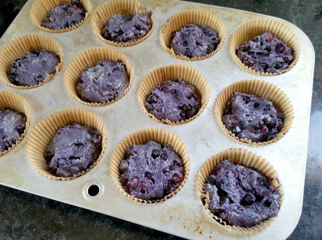 Add mini blueberry coffeecake to muffin tins