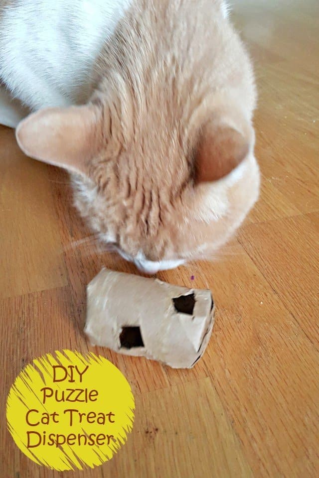 Easy Upcycled DIY Cat Treat Dispenser Tutorial