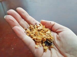 Enjoy homemade granola by the handful