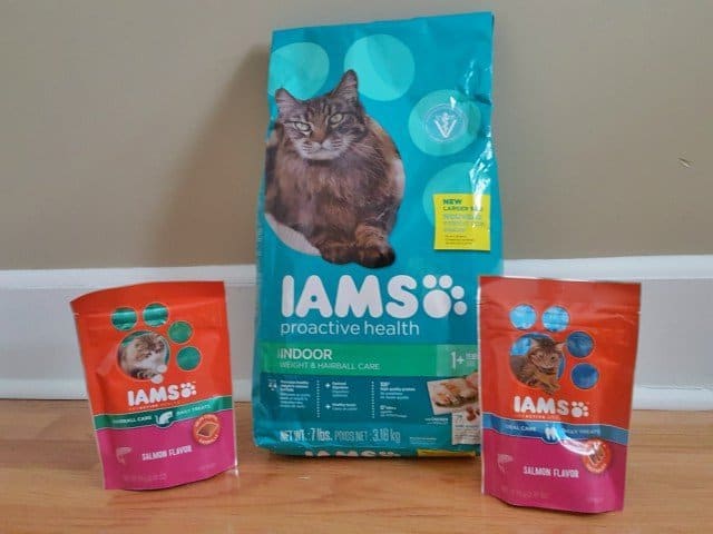 IAMS cat food and treats