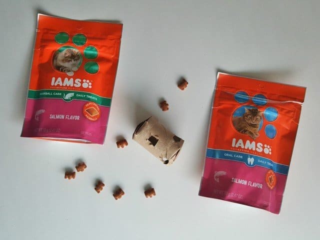 Ready to enjoy the DIY Cat treat dispenser with IAMS cat treats