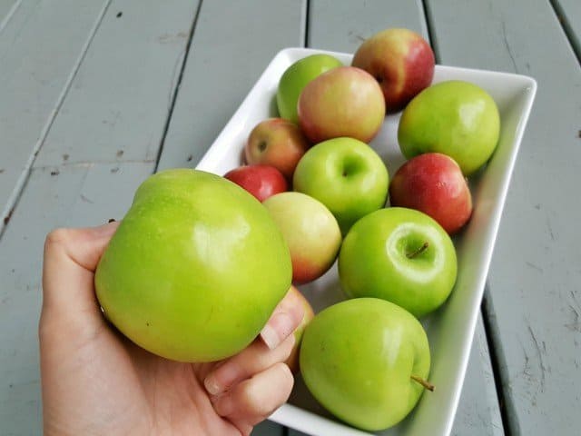 Roundup of 50 plus apple recipes and more