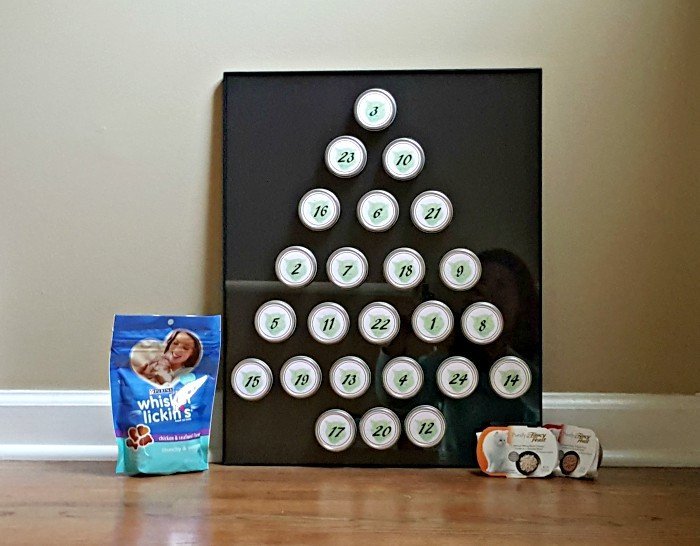 Perfect DIY Pet advent calendar idea