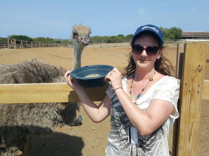 Feed ostriches in Curacao at the ostrich farm cruise excursion