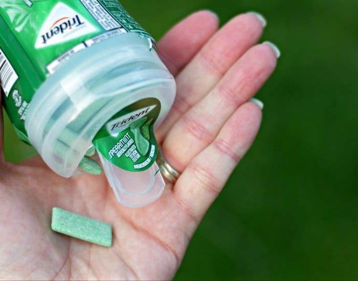 Bring mint gum to theme parks to help with motion sickness