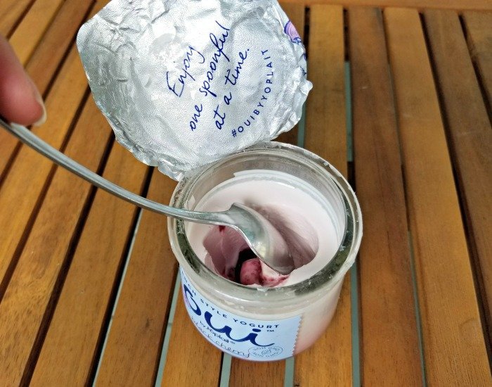 Thick and creamy yogurt