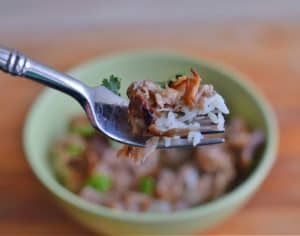 Delicious bite of homemade carnitas
