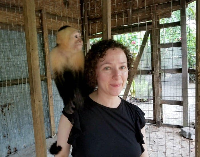 Enjoy monkeys in Honduras