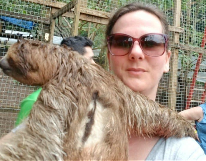 Hug a sloth in Roatan Honduras