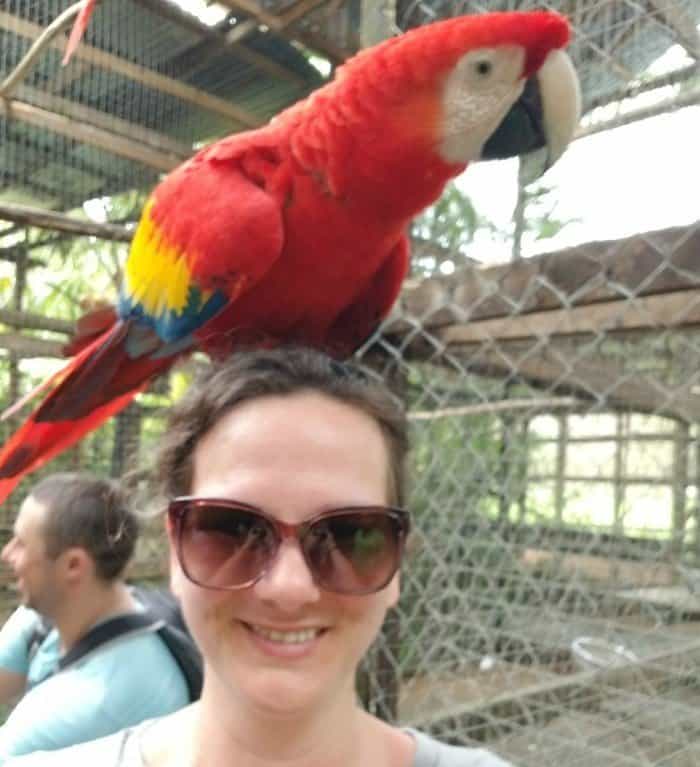 Spend time with toucans in Roatan Honduras