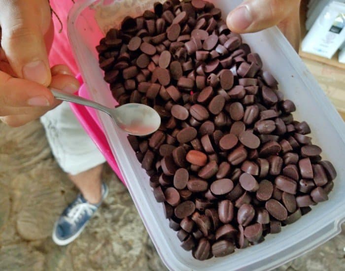 Taste test organic chocolate in Roatan