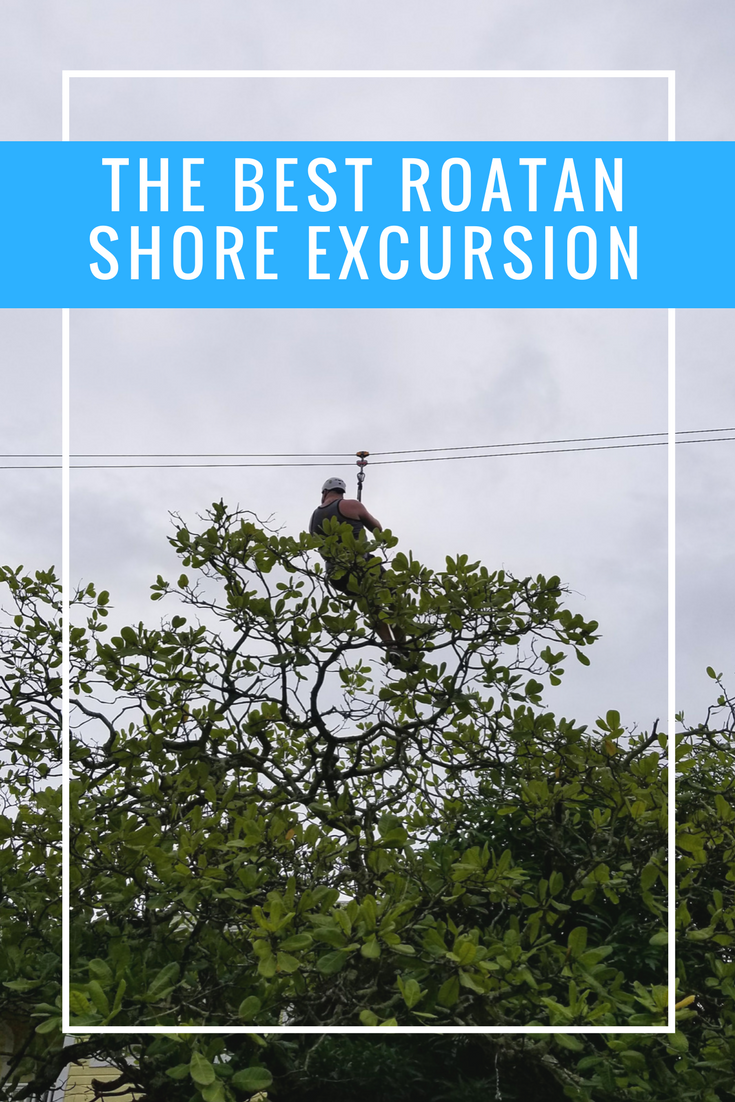 The best Roatan Honduras cruise excursion. Go ziplining and explore the monkey and sloth sanctuary with 2Ks Adventure Tours in Mahogany Bay. Definitely among the best for Isla Roatan cruise excursions for kids and adults.
