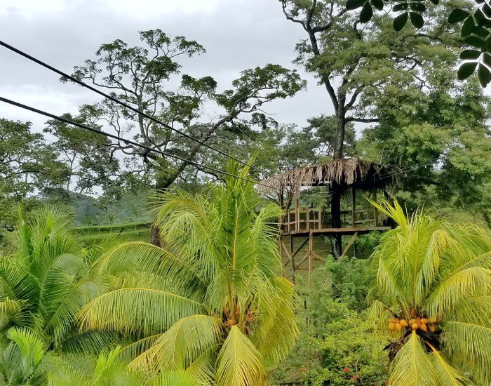 Victor Bodden ziplining Roatan Honduras
