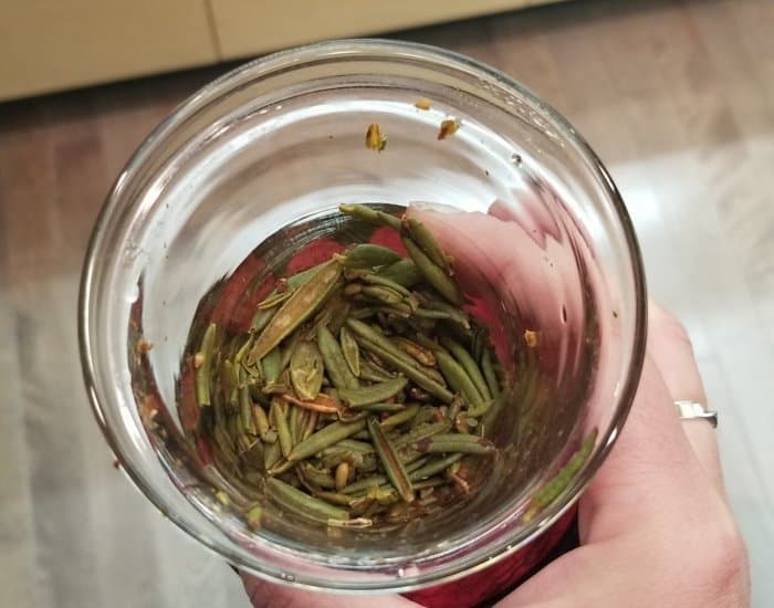 First Nations tea
