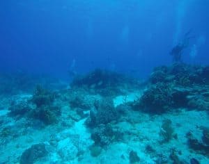 Cozumel scuba divers