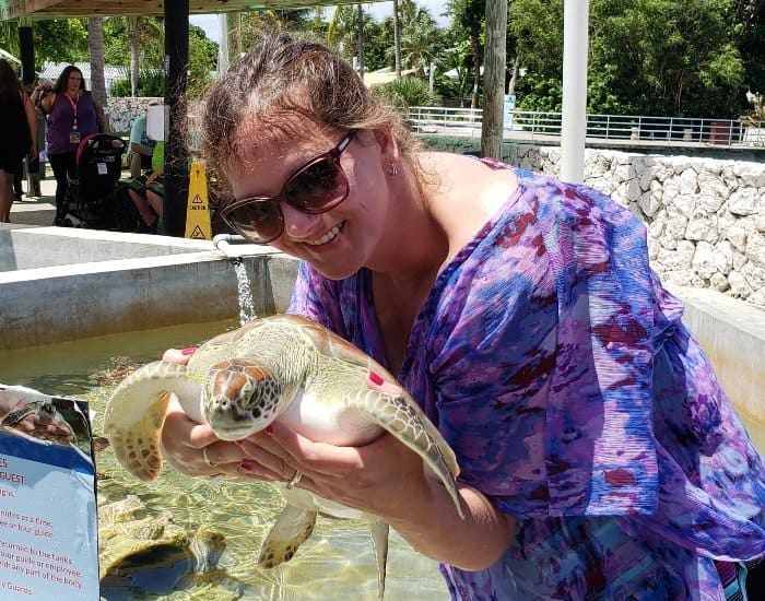 Hold baby turtles