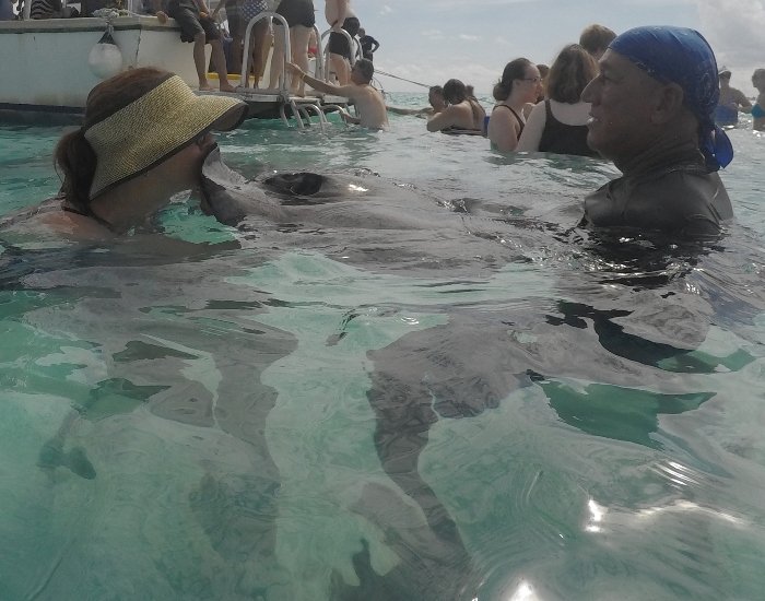 Kissing a stingray