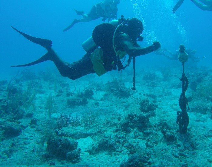 Linden playing under water