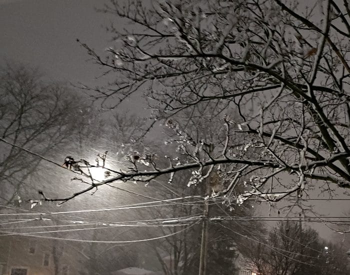 Lots of snow