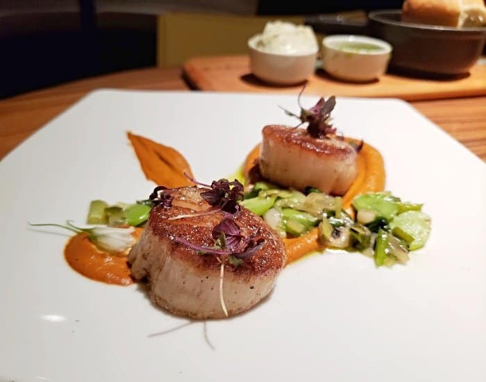 STK seared scallops